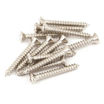 Fender Bass Bridge / Basgitaar Brug Montage Schroeven (12 stuks) 0015610049