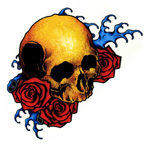 Rozanna's Violins Guitar Decal Skull & Roses