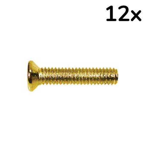 Boston PS-01-GD Element Schroef 2.6x12mm Goud (12 Stuks)
