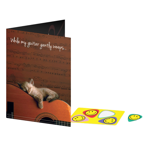 CLXmusic Wenskaart Verjaardagskaart Gitaar/Poes met Plectrumkaart