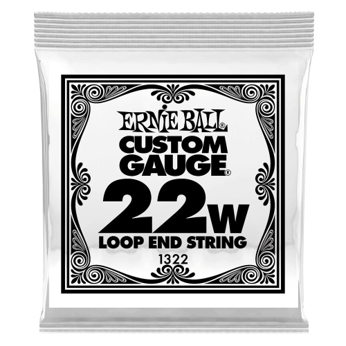 Ernie Ball 1322 Loop End Stainless Steel Wound .022 Losse Snaar - Per Stuk
