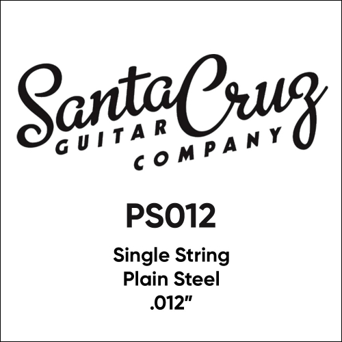 Santa Cruz PS012 Plain Steel Losse Gitaarsnaar .012