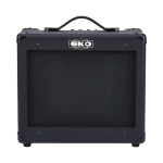 Eko G-BS25 Black Stealth Elektrische Gitaarversterker 25 Watt