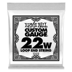 Ernie Ball 1322 Loop End Stainless Steel Wound .022 Losse Snaar - Per Stuk