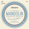 D'Addario EJ73 Mandoline Snaren (10-38)