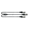 Cordial CFY0.3FMM Y-Adapterkabel Splitkabel XLR Female naar 2x XLR Male 30 cm