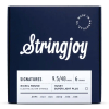 Stringjoy HSK95 Signatures Nickel Wound Elektrische Gitaarsnaren (9.5-48) Husky Super Light Plus