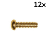 Boston SS-20-G Schakelaar Schroef USA 6-32 Schroefdraad 3.4x12mm Goud (12 Stuks)