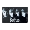 CLXmusic Plectrumkaart The Beatles (4 Plectrums)