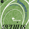 Galli GR100 Genius Flamenco Snaren - Hoge Spanning
