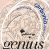 Galli GR90 Genius Carbonio Klassieke Snaren - Hoge Spanning