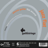 Galli JF-1565 Jazz Flat Flatwoud Elektrische Gitaarsnaren (15-65) Custom