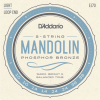D'Addario EJ73 Phosphor Bronze Mandoline Snaren (10-38) Light