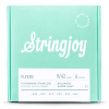 Stringjoy FR0942 Flyers Flatwound Elektrische Gitaarsnaren (9-42) Balanced Super Light