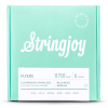 Stringjoy FR1150 Flyers Flatwound Elektrische Gitaarsnaren (11-50) Balanced Medium