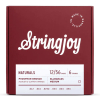 Stringjoy NB1256 Naturals Phosphor Bronze Akoestische Gitaarsnaren (12-56) Bluegrass
