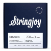 Stringjoy NW0738 Signatures Nickel Wound Elektrische Gitaarsnaren (7-38) Balanced Ultra Light